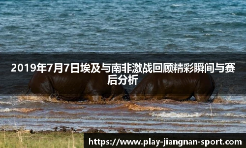 2019年7月7日埃及与南非激战回顾精彩瞬间与赛后分析